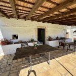Tettoia_Edera_e_Fragno_7_(Grandi)